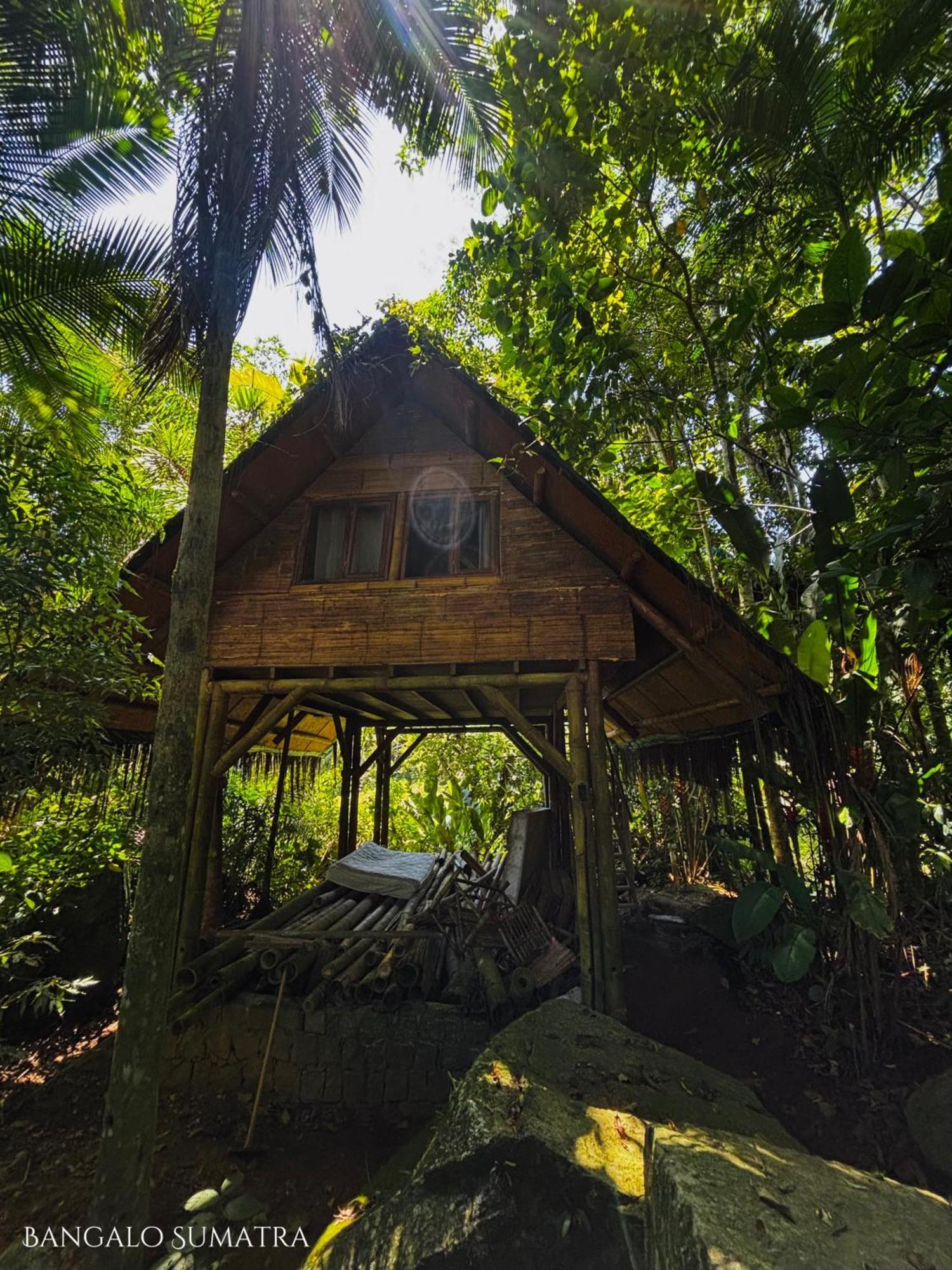 Bed and Breakfast Sitio Simple Life Ubatuba Exterior foto